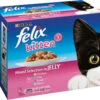 Felix Pouch Kitten Fish & Meat Selection In Jelly 1 Felix Pouch Kitten Fish & Meat Selection In Jelly -Purry Food Sales Store 24646