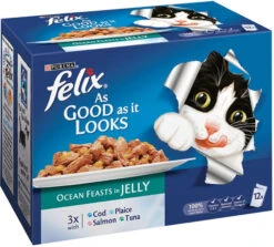 Felix As Good As It Looks Ocean Feasts In Jelly