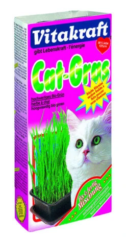 6 X Vitakraft Cat Grass 120g