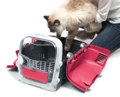 Catit Cabrio Cat Carrier In Cherry Red 9 Catit Cabrio Cat Carrier In Cherry Red -Purry Food Sales Store 41370 cabrio cherry red with cat