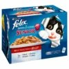 Felix Pouch As Good As It Looks Senior Meat In Jelly -Purry Food Sales Store 566348