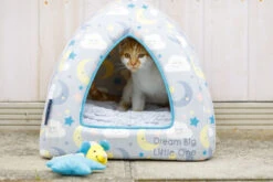 Petface Little Petface Cat Igloo 11 Petface Little Petface Cat Igloo -Purry Food Sales Store 60c080d4a6c961.43307262