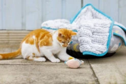 Petface Little Petface Cat Donut -Purry Food Sales Store 60c080e2e5f896.84162551