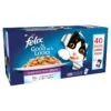 Felix As Good As It Looks Pouch Mixed In Jelly 40x100g -Purry Food Sales Store MuqeoVAA