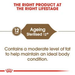 ROYAL CANIN® Ageing Sterilised 12+ Senior Dry Cat Food -Purry Food Sales Store aemcccngrxvzg4j7zyup