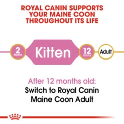 ROYAL CANIN® Maine Coon Kitten Dry Food 18 ROYAL CANIN® Maine Coon Kitten Dry Food -Purry Food Sales Store be41upqtuatclcldjyko