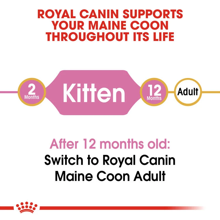 ROYAL CANIN® Maine Coon Kitten Dry Food 10 ROYAL CANIN® Maine Coon Kitten Dry Food - Image 8