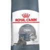 ROYAL CANIN® Oral Care Adult Dry Cat Food -Purry Food Sales Store bg50ryy8tcfqv1euylxx