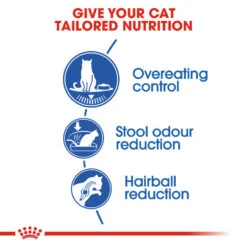 ROYAL CANIN® Indoor Appetite Control Adult Dry Cat Food 17 ROYAL CANIN® Indoor Appetite Control Adult Dry Cat Food -Purry Food Sales Store bt9u2ubpnmeexaxtbbjy