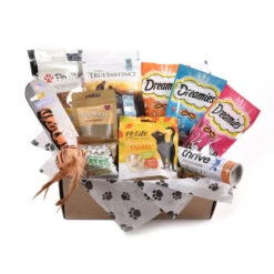 Toy & Treats Subscription Box For Cats