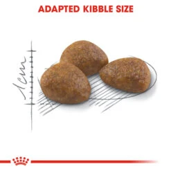 ROYAL CANIN® Outdoor Active 7+ Adult Dry Cat Food -Purry Food Sales Store coffe6juhzjyjvl4urr3