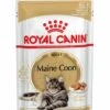 ROYAL CANIN® Maine Coon In Gravy Adult Wet Cat Food -Purry Food Sales Store crpujyflhf0oxmwqttvo