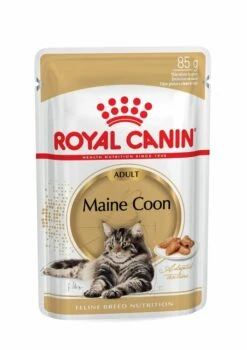 ROYAL CANIN® Maine Coon In Gravy Adult Wet Cat Food