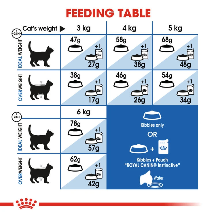 ROYAL CANIN® Indoor Appetite Control Adult Dry Cat Food 7 ROYAL CANIN® Indoor Appetite Control Adult Dry Cat Food - Image 5