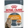 ROYAL CANIN® Intense Beauty Care In Jelly Adult Wet Cat Food -Purry Food Sales Store eoqwi6xjyvxeipfwjku0