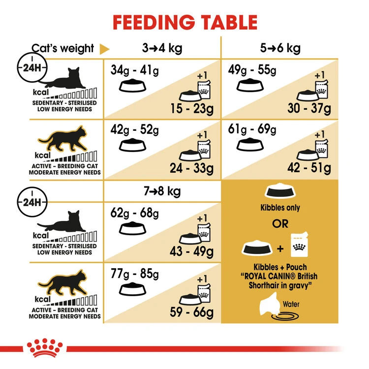 ROYAL CANIN® British Shorthair Adult Dry Cat Food 6 ROYAL CANIN® British Shorthair Adult Dry Cat Food - Image 4