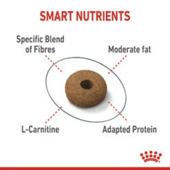 ROYAL CANIN® Appetite Control Care Adult Dry Cat Food -Purry Food Sales Store fffrqwjo7idhv880gr7c