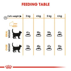 ROYAL CANIN® Hair & Skin Care Adult Dry Cat Food -Purry Food Sales Store gyhieadevf0ogdiswcjq