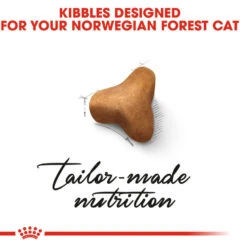 ROYAL CANIN® Norwegian Forest Adult Dry Cat Food -Purry Food Sales Store h4vwplbbguxvxbanxktv