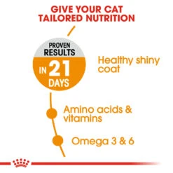 ROYAL CANIN® Hair & Skin Care Adult Dry Cat Food -Purry Food Sales Store h8rxqxymt3yxb0kq5tm1