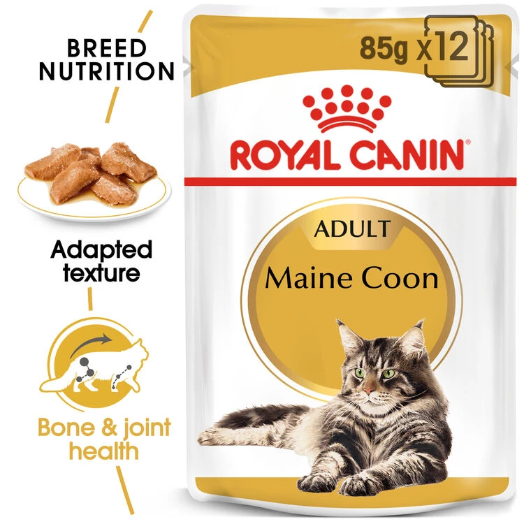 ROYAL CANIN® Maine Coon In Gravy Adult Wet Cat Food 4 ROYAL CANIN® Maine Coon In Gravy Adult Wet Cat Food - Image 2