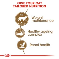 ROYAL CANIN® Ageing Sterilised 12+ Senior Dry Cat Food -Purry Food Sales Store i44jnign12vy4fddz6mw