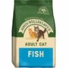 James Wellbeloved Adult Fish Dry Cat Food 1 James Wellbeloved Adult Fish Dry Cat Food -Purry Food Sales Store jb 17