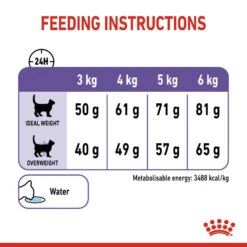 ROYAL CANIN® Appetite Control Care Adult Dry Cat Food -Purry Food Sales Store jzeqif4suqz2m2bjq5vy