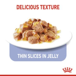ROYAL CANIN® Light Weight Care In Jelly Adult Wet Cat Food 17 ROYAL CANIN® Light Weight Care In Jelly Adult Wet Cat Food -Purry Food Sales Store kcb4yvll82tcifbccw7v