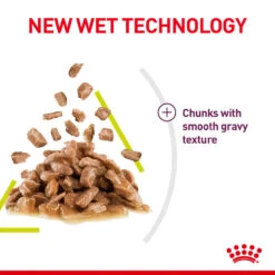 ROYAL CANIN® Sensory Smell In Gravy Adult Wet Cat Food -Purry Food Sales Store kpuovoj1c6cgpbkimfsz