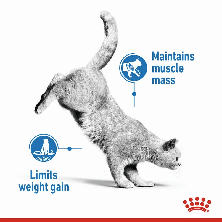 ROYAL CANIN® Light Weight Care In Jelly Adult Wet Cat Food 6 ROYAL CANIN® Light Weight Care In Jelly Adult Wet Cat Food - Image 4