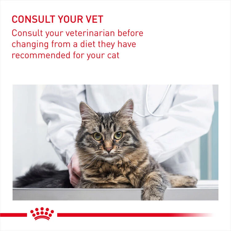 ROYAL CANIN® Intense Beauty Care In Jelly Adult Wet Cat Food 11 ROYAL CANIN® Intense Beauty Care In Jelly Adult Wet Cat Food - Image 9