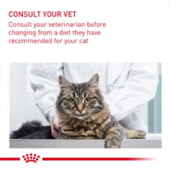 ROYAL CANIN® Intense Beauty Care In Gravy Adult Wet Cat Food -Purry Food Sales Store lox5h25zciaapyfqqpgo 2