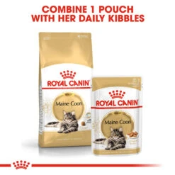 ROYAL CANIN® Maine Coon In Gravy Adult Wet Cat Food 14 ROYAL CANIN® Maine Coon In Gravy Adult Wet Cat Food -Purry Food Sales Store lxdppgtzrhaviv9j1kho