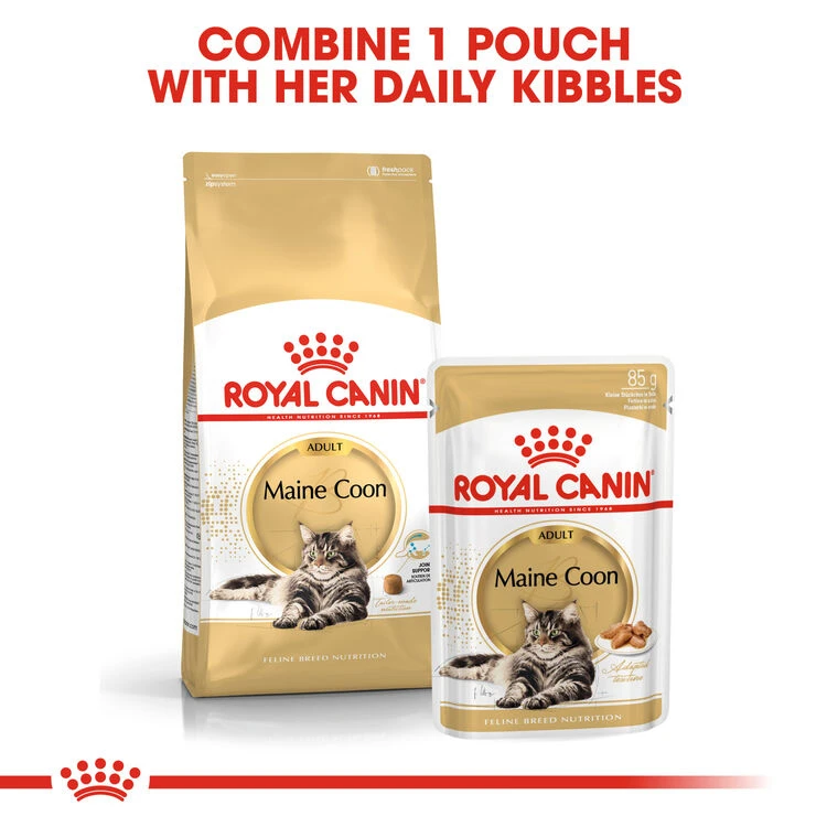 ROYAL CANIN® Maine Coon In Gravy Adult Wet Cat Food 7 ROYAL CANIN® Maine Coon In Gravy Adult Wet Cat Food - Image 5