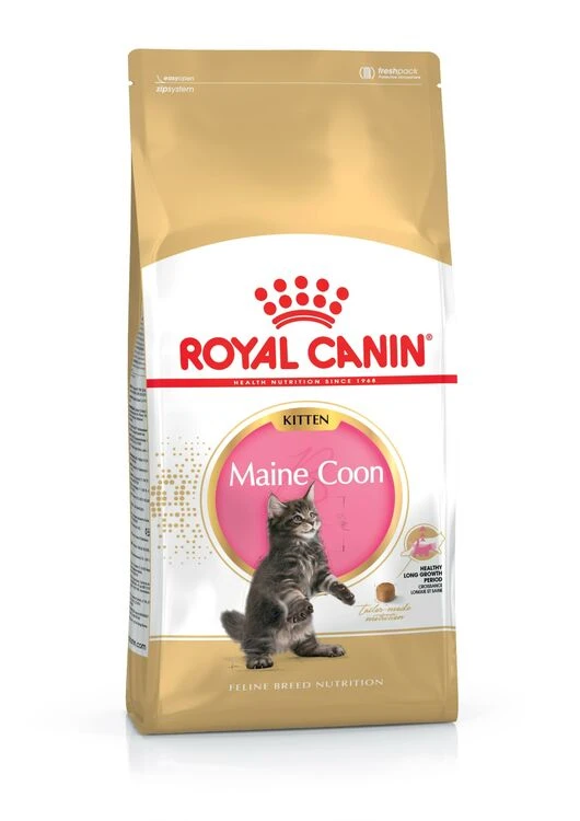 ROYAL CANIN® Maine Coon Kitten Dry Food 3 ROYAL CANIN® Maine Coon Kitten Dry Food
