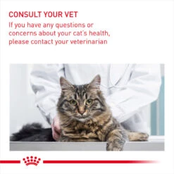 ROYAL CANIN® Hairball Care Adult Dry Cat Food 19 ROYAL CANIN® Hairball Care Adult Dry Cat Food -Purry Food Sales Store mkawaklaiteu3qlaeddq