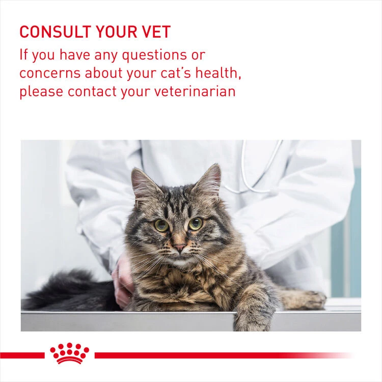 ROYAL CANIN® Hairball Care In Gravy Adult Wet Cat Food 11 ROYAL CANIN® Hairball Care In Gravy Adult Wet Cat Food - Image 9
