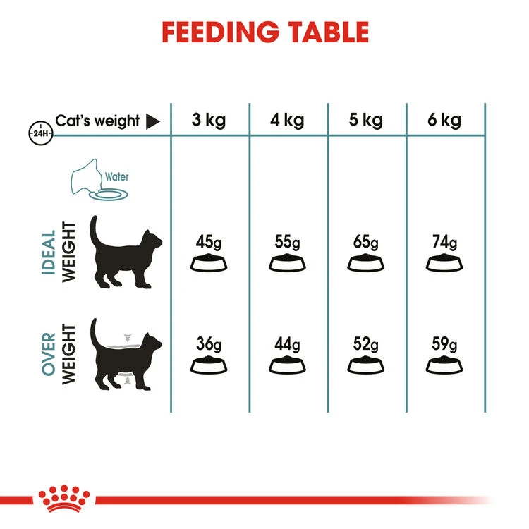 ROYAL CANIN® Hairball Care Adult Dry Cat Food 7 ROYAL CANIN® Hairball Care Adult Dry Cat Food - Image 5