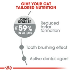 ROYAL CANIN® Oral Care Adult Dry Cat Food -Purry Food Sales Store nk5ugqydln157csfwhui