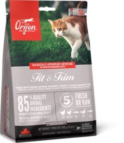 Orijen Fit & Trim Dry Cat Food -Purry Food Sales Store ns emea apac orijen fit 26 trim cat front right 340g