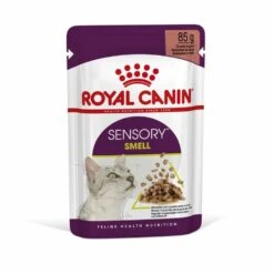 ROYAL CANIN® Sensory Smell In Gravy Adult Wet Cat Food -Purry Food Sales Store nshlkaj9xoldvwnymvwh