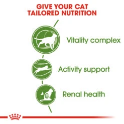 ROYAL CANIN® Outdoor Active 7+ Adult Dry Cat Food -Purry Food Sales Store nslru6anjblzntbg3gms