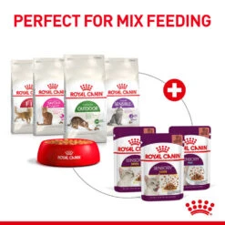 ROYAL CANIN® Sensory Smell In Jelly Adult Wet Cat Food -Purry Food Sales Store ogspud20qi4bofskeqsm
