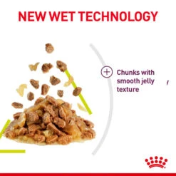 ROYAL CANIN® Sensory Smell In Jelly Adult Wet Cat Food -Purry Food Sales Store ojxbhirwzx2qb6jsyecc