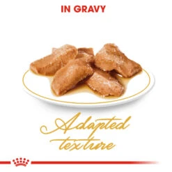 ROYAL CANIN® Maine Coon In Gravy Adult Wet Cat Food 15 ROYAL CANIN® Maine Coon In Gravy Adult Wet Cat Food -Purry Food Sales Store oq6vmk2vzjf1p5lwgnyk