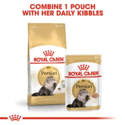 ROYAL CANIN® Persian Adult Dry Cat Food -Purry Food Sales Store p6w65kfy5jwxnuav3tma