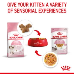 ROYAL CANIN® Kitten In Jelly Wet Food -Purry Food Sales Store pipusfrze0oynhbh1adk