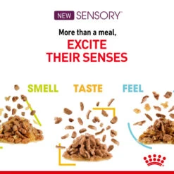 ROYAL CANIN® Sensory Smell In Gravy Adult Wet Cat Food -Purry Food Sales Store po3sktkdtt4qvcqggncd 1