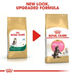 ROYAL CANIN® Maine Coon Kitten Dry Food 13 ROYAL CANIN® Maine Coon Kitten Dry Food -Purry Food Sales Store poar2uunlqcbpa64pd6e